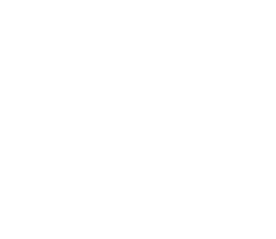 Milestone Systems